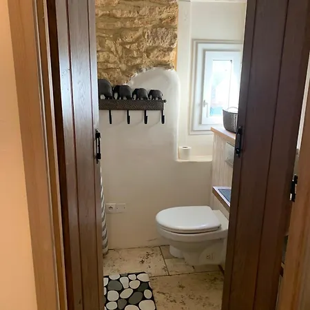 Holiday home La Maison De Borie Fumel